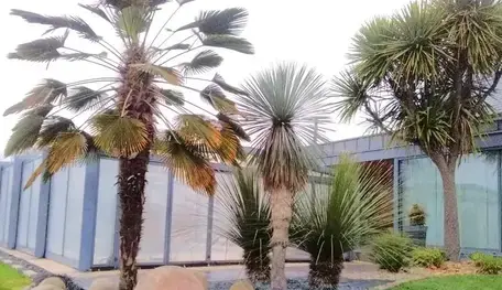 aménagement extérieur Saint Aubin du Cormier-3