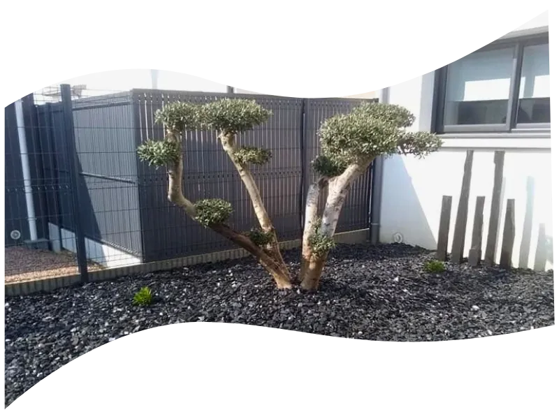 amenagement paysager gahard