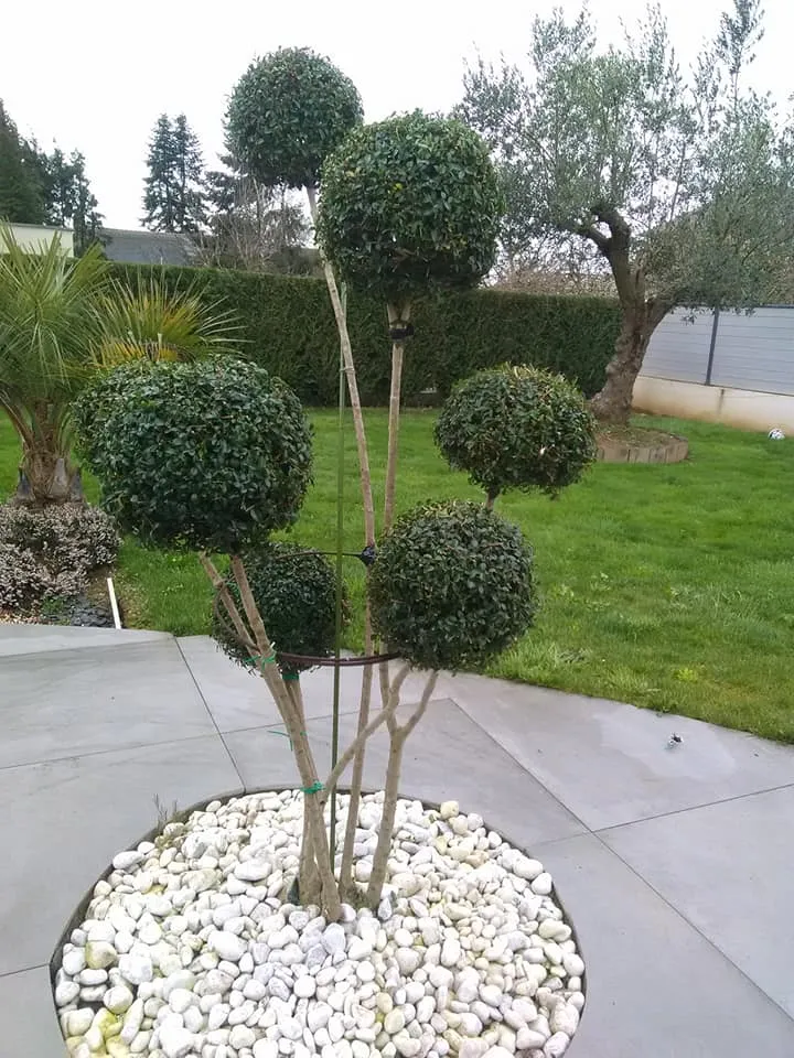 amenagement paysager liffre