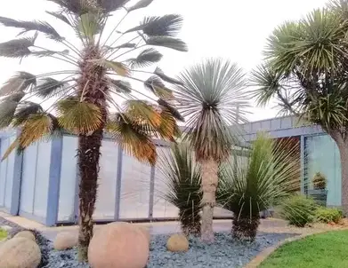 aménagement paysager Saint Aubin du Cormier-3