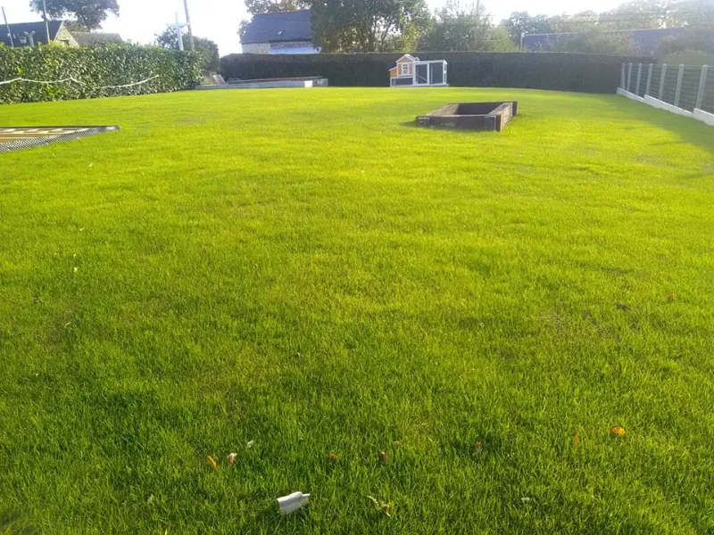 after-image