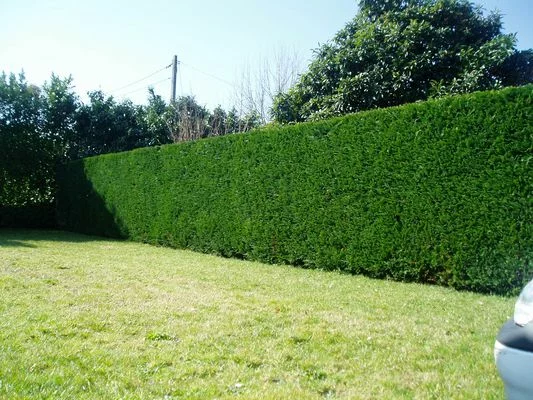 amenagement paysager sens de bretagne