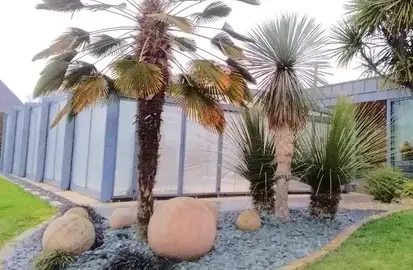 création de jardins Cesson Sévigné-2