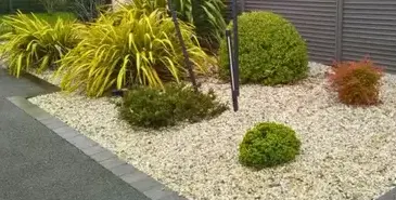 création de jardins Cesson Sévigné-3