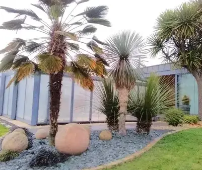 création de jardins Saint Aubin du Cormier-2