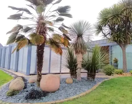 entretien espace vert Betton-5