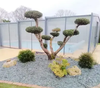 entretien espace vert Cesson Sévigné-4