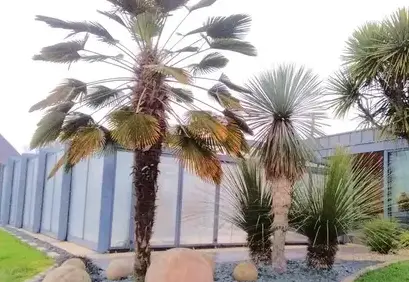 entretien espace vert Saint Aubin du Cormier-1