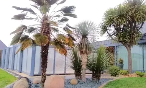 pavage Saint Aubin du Cormier-4